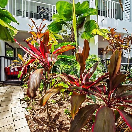 Beach Club Private Apartments パーム・コーブ 部屋 写真